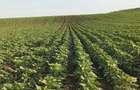 OPORTUNITATE INVESTI?IE: Teren Agricol de Inalta Productivitate (Extravilan)
