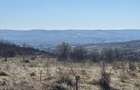 Teren intravilan cu panorama splendida - 1