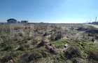 Lot 2 parcele intravilan, Metro, 3168 mp, acces la utilitati - 3