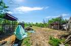 Casă Nouă „la Roșu” cu Teren Generos – Șoimoș, Arad - 13