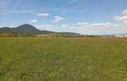 Teren extravilan 1.000 mp. Vulcan, Brasov - Ideal pentru gradina sau relaxare - 1