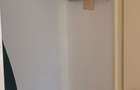 Apartament 2 canere bd carol 600 euro - 5