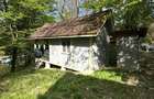 Cabana/Casuta din lemn Lac mujdeni cu ponton privat pe lac - 5