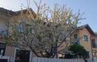 Inchiriez casa 3 camere - 3