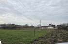 Teren intravilan 2500 mp - Unirea, Str. Platanilor - 1