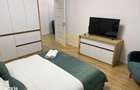 Apartament 2 camere decomandat, Junior Residence parcare subterana - 8