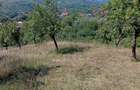Teren extravilan de vanzare Chiojdu, jude?ul Buzau 3.100 m - 3