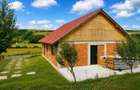 Casa de vanzare/ schimb-Zapodeni ,Vaslui - 3
