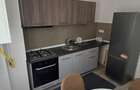 Apartament 1 camera de inchiriat Cartierul Visoianu - 10