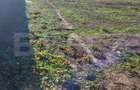 Teren intravilan, 500 mp, Floresti-Simnicul de sus - 2