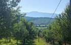 Terenul pe care se clădește visul tău – Tocile, Sibiu - 6