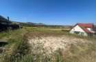 Teren Intravilan /Almas - 8