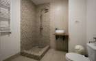 Apartament in vila / demisol inalt 115 mp, 5 camere, 2 intrari - Parcul Carol / ideal investitie - 13