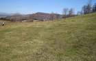 Vand Teren in Curtea de Arges suprafata 5000mp - 1