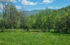 Teren in zona Calimanesti-Caciulata, cu iesire la parau - 2