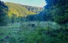 Teren de 1000 mp intravilan, Valea Finisului, Bihor, @Gaminvest, V4232 - 2