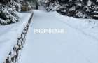 Vila superba de vanzare in statiunea Sinaia, langa Izvorul Dorului - 9