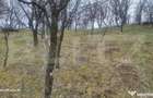 TEREN INTRAVILAN VEDERE PANORAMICA La 2 km de Manastirea CRA - 2