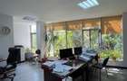 Spatiu comercial / birouri - 660 mp - Bulevardul Nicolae Titulescu - 8
