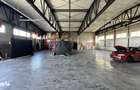 INVESTITIE Hala 450MP Curte privata - 3