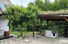 Casa in stil rustic P+M in Salicea - 174 mp, teren 750 mp - 17