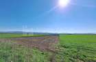 Teren extravilan, 8700 mp, pretabil agricultura sau investi?ie - Bod - 9