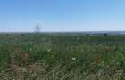 Vand teren agricol Tulucesti - 3