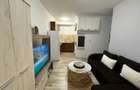 Apartament 2 camere, renovat si mobilat Manta Rosu - 8