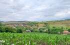 Casa in Camarasu-Cluj, utilitati, asfalt, teren mare intravilan - 8