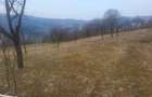 Vand teren intravilan in Moisei Maramures - 6