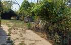 Carcea casa plus 4000mp teren intravilan,pret 98000 euro - 2