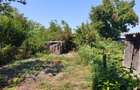 ROANDY - Casa plus teren generos - Poienarii Burchii - 5