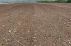 Teren agricol pe DN Teiu? -Aiud - 5