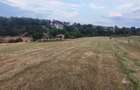 COMISION 0%!!! Teren extravilan, 7200 mp, in BAI SARATE TURDA - 2