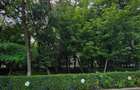 2 camere decomandat | 50 mp | Obregia | 66.000 - 2
