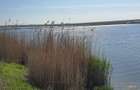 Teren de vanzare /Corbu | 1.350 mp | 66 m deschidere la Lacul Corbu | Oportunitate - 3