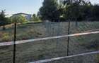 Teren de vanzare Branesti , langa padure si lac - 2