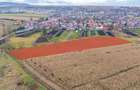 Teren extravilan Bod, 10.000 mp, acces DE 290, zona spre Harman - 3