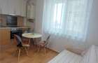 Studio de inchiriat Doamna Stanca - 16