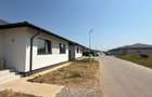 Balotesti, Dumbraveni