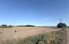 Teren 3.500 mp Gradistea Ilfov | 2.857 mp intravilan | Asfalt | 129.000 - 3