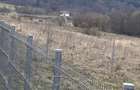 Teren de vanzare 1030m2, intravilan - Jud. Bra?ov - 6