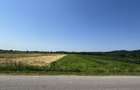 Teren intravilan+extravilan 2540Mp de vanzare zona Mihaesti