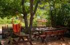 Vand cabane la munte - 5