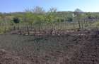 Vand teren intravilan - 2