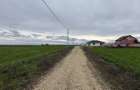 Teren 504 mp Livada de Bihor - 7
