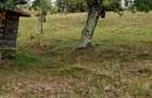 Teren intravilan de vanzare, 26.000 mp, Bulz, Bihor,Gaminvest,V4693 - 7