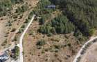 TEREN EXCLUSIV 5.000 MP MOIGRADPOROLISSUM PANORAMA - UNESCO - 1