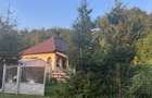 . Casa renovata complet, gradina, padure si aer curat Arges - 6