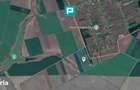 Teren de 8600 Mp2, agricol extravilan, Mailat